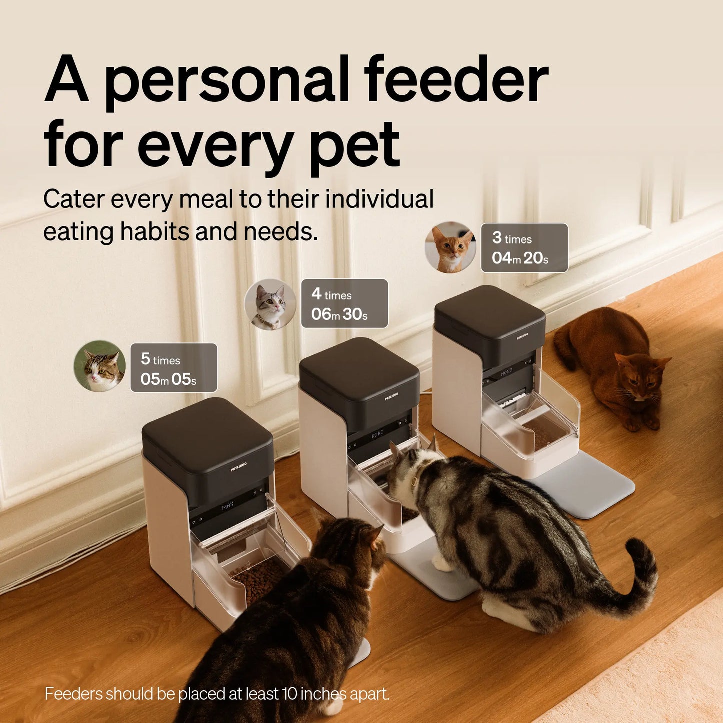 Elevate Your Pet's Lifestyle with the Rfld Smart Feeder & Dockstream 2 Cordless Fountain