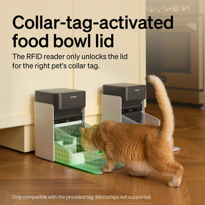 Elevate Your Pet's Lifestyle with the Rfld Smart Feeder & Dockstream 2 Cordless Fountain