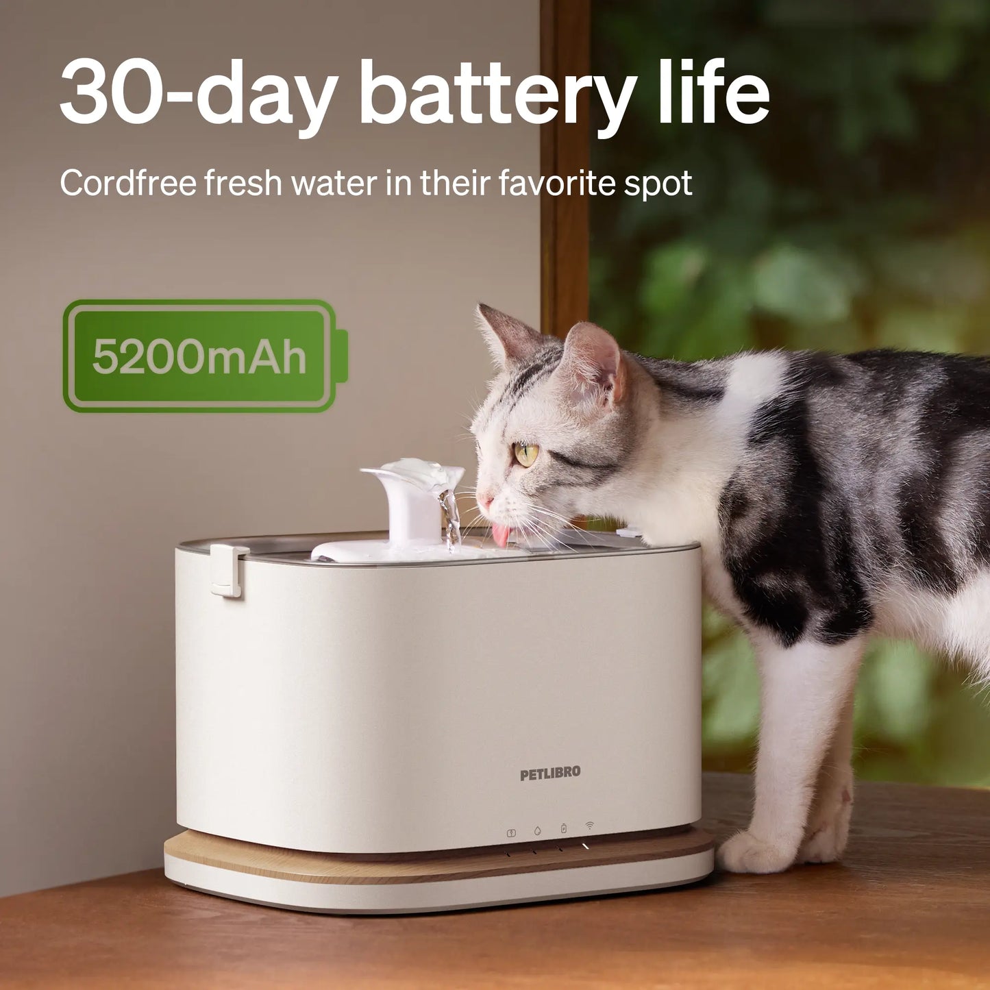 Elevate Your Pet's Lifestyle with the Rfld Smart Feeder & Dockstream 2 Cordless Fountain