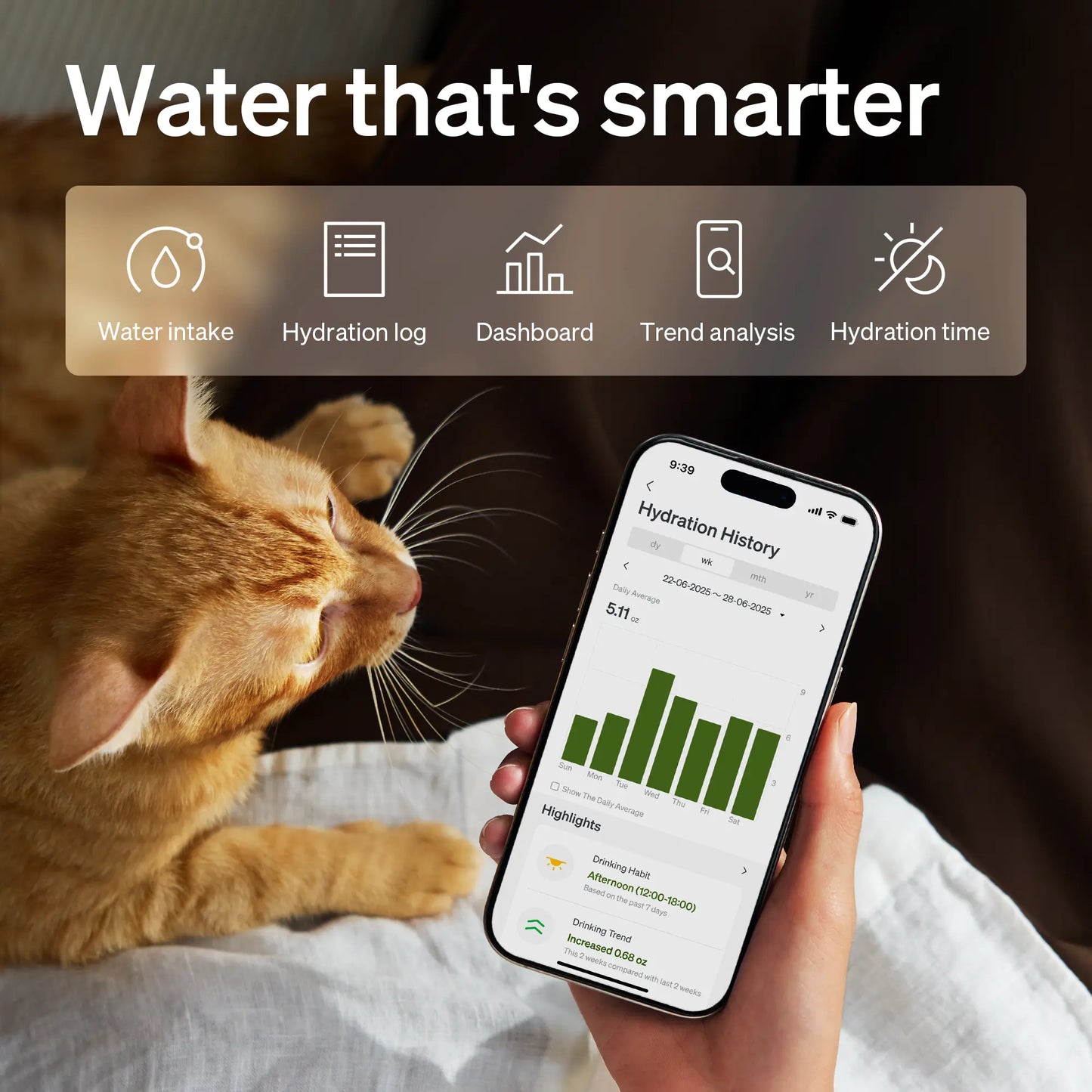 Elevate Your Pet's Lifestyle with the Rfld Smart Feeder & Dockstream 2 Cordless Fountain